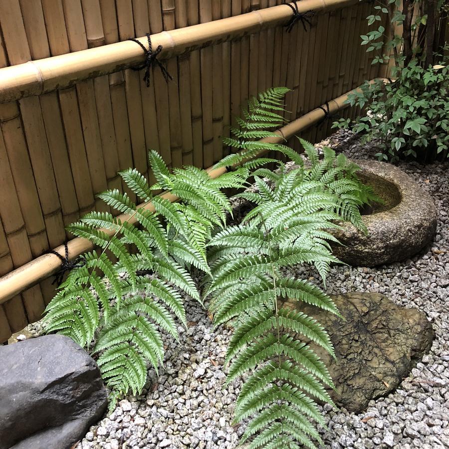 Naokonoza Omiya Gojo Villa Kyoto Buitenkant foto