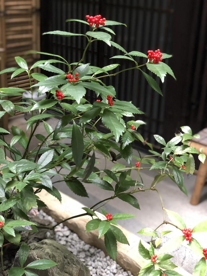 Naokonoza Omiya Gojo Villa Kyoto Buitenkant foto